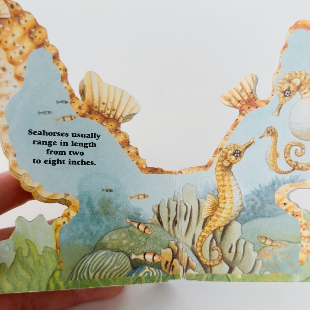 Portable Pets Seahorse Board Book​ - Picture 6 of 7
